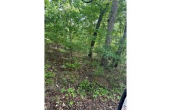 Lot 3 Timberline Drive, Hillsboro, MO 63050
