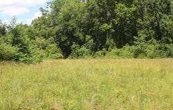 0000 Sylvan Drive, Manning, SC 29102