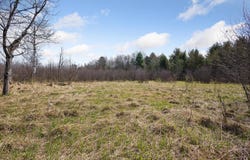 0 Potter Road, Bear Lake, MI 49614
