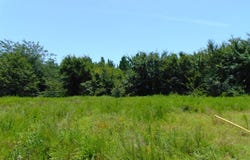 tbd Peach Creek Road, Fanshawe, OK 74935
