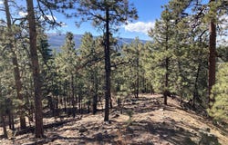196 Ticonderoga Drive, Chama, NM 87520