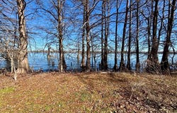 2 Michele, Saint Joseph, LA 71366