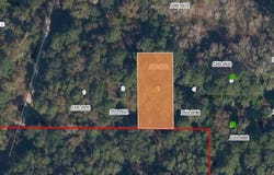 205 SIESTA Drive, GEORGETOWN, FL 32139
