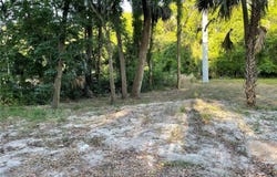 PARK AVENUE, DE LEON SPRINGS, FL 32130