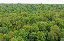 396 Avon Road, DeQueen, AR 71832