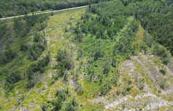 TBD CR 400 #23, Perronville, MI 49873