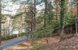 330 STATE PARK ROAD, SWANTON, MD 21561