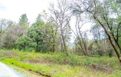 3291 Stage Trail Road, Greenwood, CA 95635
