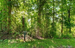 9999 Stone Valley Way unit: 21 Ph 1, Hendersonville, NC 28792