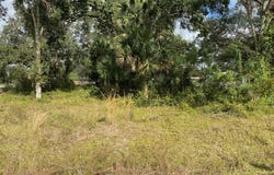 0 SE 5th Street, Okeechobee, FL 34974