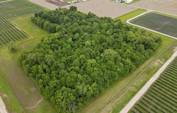 425 S 1200 W, Parker City, IN 47368