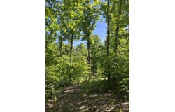 TBD Matz, Boyne Falls, MI 49713