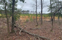 0 UPPER FERRY ROAD, EDEN, MD 21822