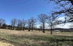 Lot 4 Deer Meadows Lane, Yellville, AR 72687