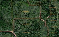 Spikehorn Trail, Indian River, MI 49749