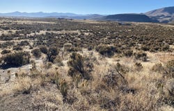 020-014-001 2nd St/ Spoonbill Avenue, Elko, NV 89823