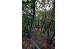 0 NORTH CT, Riddle, OR 97469
