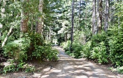 42065 VISTA DR, Port Orford, OR 97465