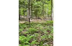 308 Creekside Trail, Ellijay, GA 30540
