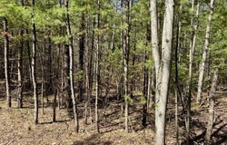 9276 BLACK PINE LN, Minocqua, WI 54548