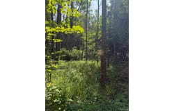 Gristmill Road, Baraga, MI 49908