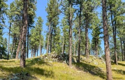 Tract Campfire Three Meadows Road, Keystone, SD 57751