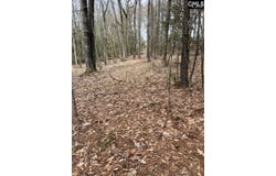 Harbor View Drive lot: 62, Prosperity, SC 29127