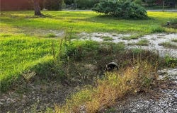 100 Hereford Street, Ragley, LA 70657