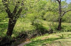 5423 Mccahill Road, Chattanooga, TN 37415