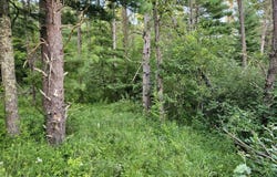 Gale Court, Wisconsin Dells, WI 53965