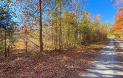Lovely Zion Road, Rawlings, VA 23876