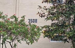 3508 SW Natura Boulevard, Deerfield Beach, FL 33441