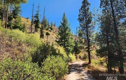 Tbd Marsh Creek, Featherville, ID 83647