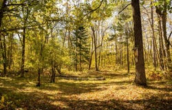 Tract B Brietbach Rd, Park Rapids, MN 56470