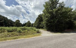 25 Acres Dee Hicks Road, Altoona, AL 35952
