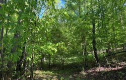 Lot 42 Meadow Brooke, Young Harris, GA 30582