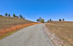 7005 Mountain Ranch Road, Mountain Ranch, CA 95246