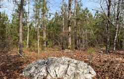 -- Cunningham Road, Bradley, SC 29819
