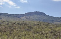 40 ac E Wildcat Road, Douglas, AZ 85607
