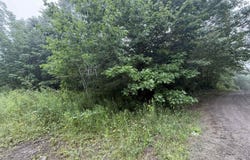 P/O M7 L32 Huff Corner Road, Wellington, ME 04942