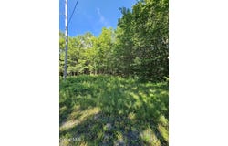 L-16.5 Donlan Heights Road, Broome, NY 12122