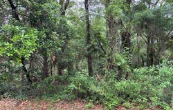 9657 W Gardeners Lane, Crystal River, FL 34428