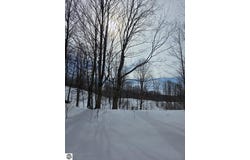VL Ranch Drive, Bellaire, MI 49615