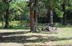 15 Windle Road, Cuba, MO 65453