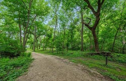 23388 GASTON Avenue, GLENWOOD, IA 51534