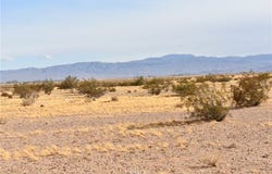 0 Buckthorne Caynon Rd, Helendale, CA 92301