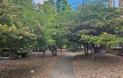 11230 Osage Cir, Northglenn, CO 80234