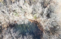 6 Route HH, Stoutsville, MO 65283