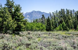 Lot 40 Sun West Ranch, Cameron, MT 59720