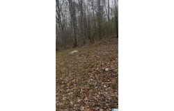 55741 HIGHWAY 25, LEEDS, AL 35094